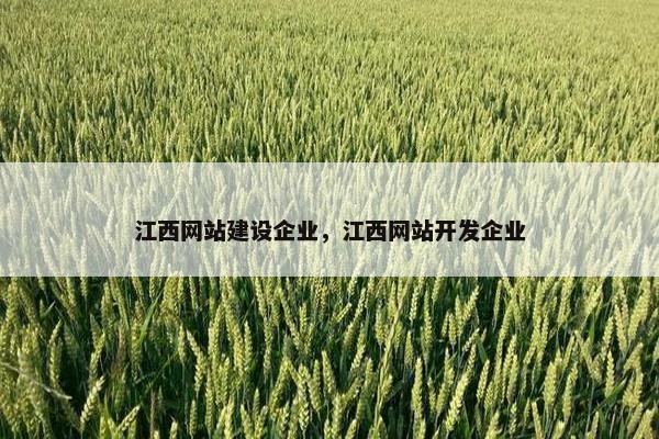 江西网站建设企业，江西网站开发企业