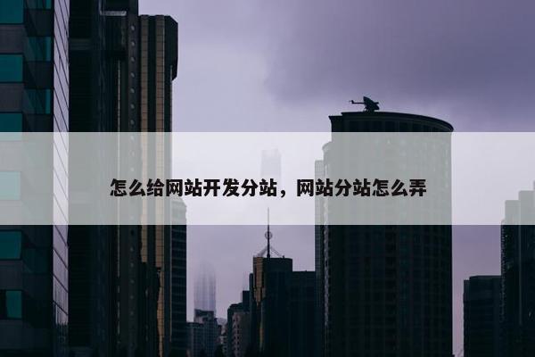 怎么给网站开发分站，网站分站怎么弄