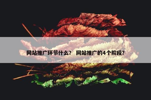 网站推广环节什么？ 网站推广的4个阶段？