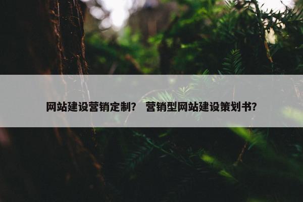 网站建设营销定制？ 营销型网站建设策划书？