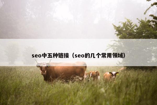 seo中五种链接（seo的几个常用领域）