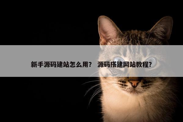 新手源码建站怎么用？ 源码搭建网站教程？