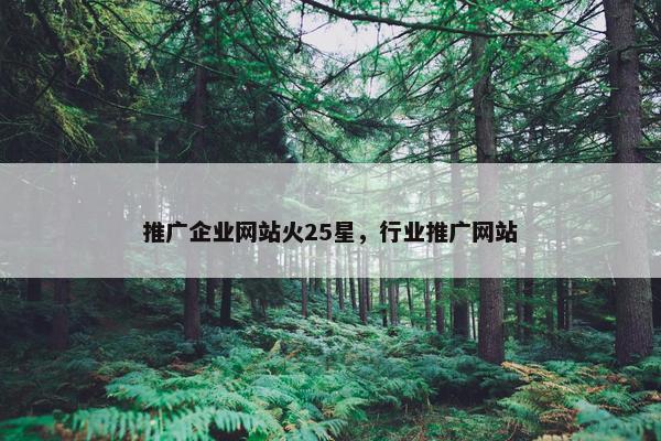 推广企业网站火25星，行业推广网站