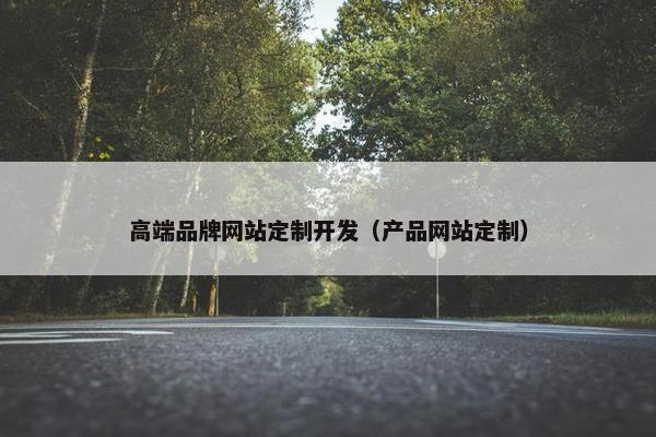 高端品牌网站定制开发（产品网站定制）