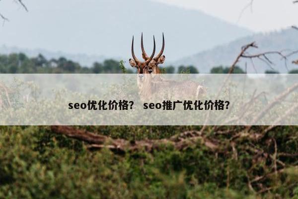 seo优化价格？ seo推广优化价格？