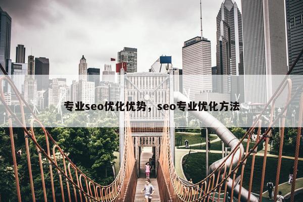 专业seo优化优势，seo专业优化方法