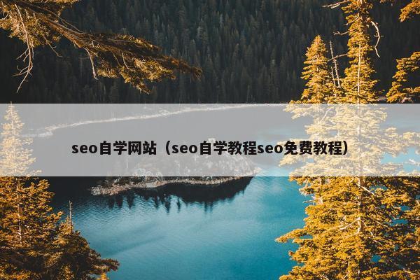 seo自学网站（seo自学教程seo免费教程）