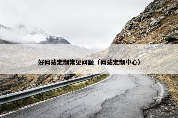 好网站定制常见问题（网站定制中心）