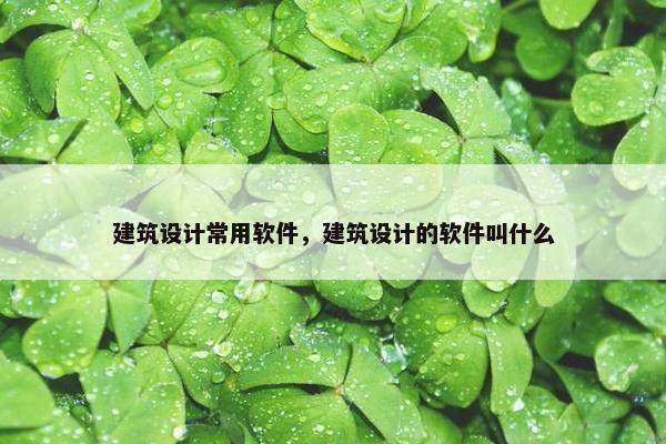 建筑设计常用软件，建筑设计的软件叫什么