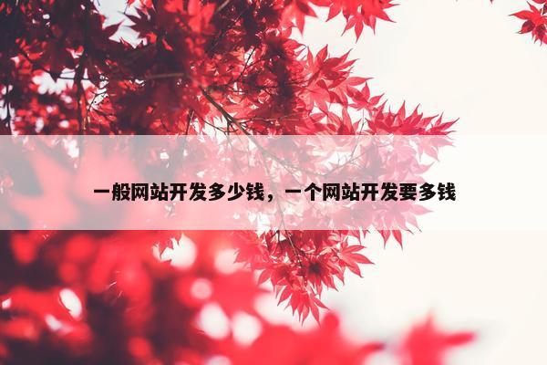 一般网站开发多少钱，一个网站开发要多钱