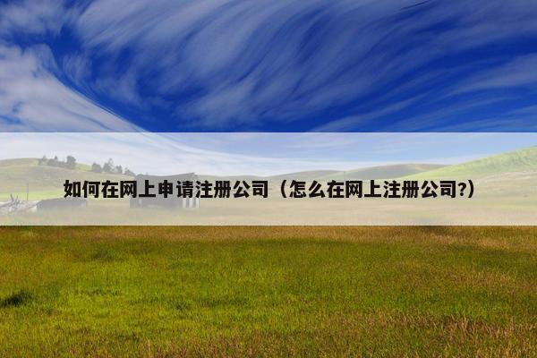 如何在网上申请注册公司（怎么在网上注册公司?）