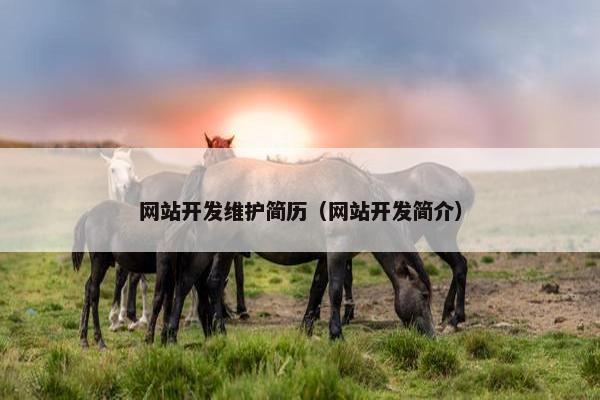 网站开发维护简历（网站开发简介）