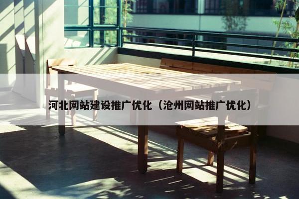河北网站建设推广优化（沧州网站推广优化）