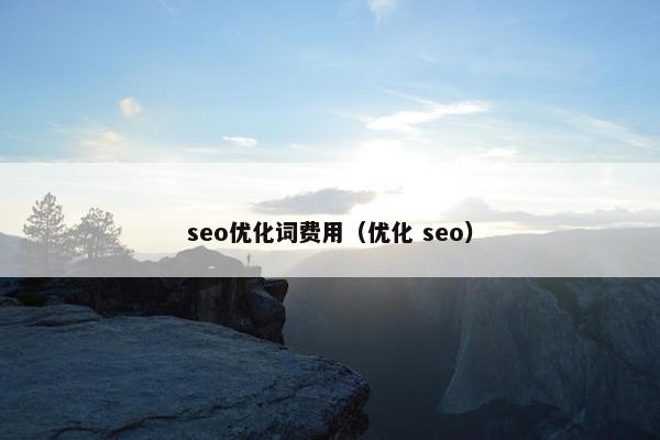 seo优化词费用（优化 seo）