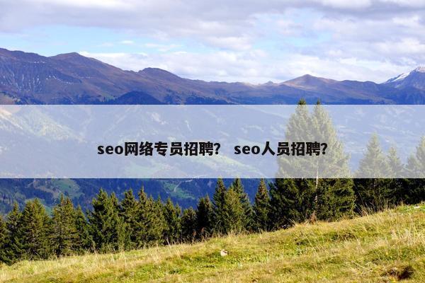 seo网络专员招聘？ seo人员招聘？