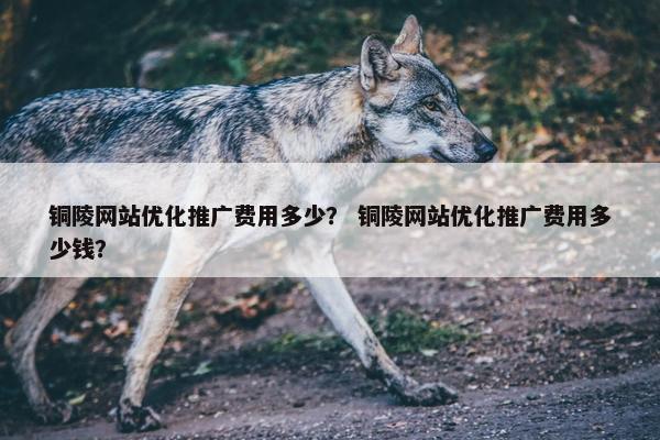 铜陵网站优化推广费用多少？ 铜陵网站优化推广费用多少钱？