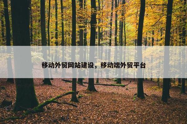 移动外贸网站建设，移动端外贸平台