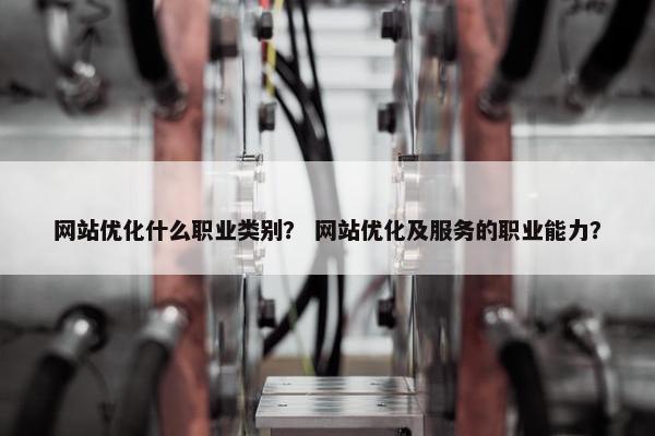 网站优化什么职业类别？ 网站优化及服务的职业能力？