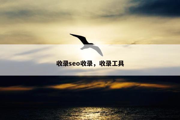 收录seo收录，收录工具