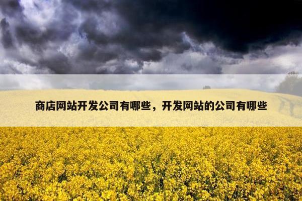 商店网站开发公司有哪些，开发网站的公司有哪些