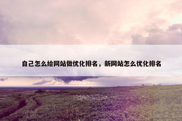 自己怎么给网站做优化排名，新网站怎么优化排名