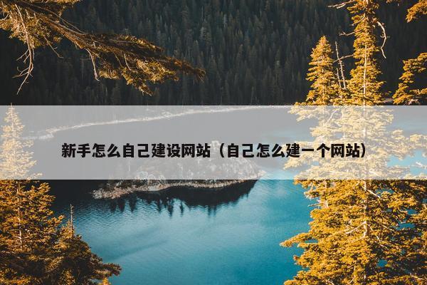 新手怎么自己建设网站（自己怎么建一个网站）