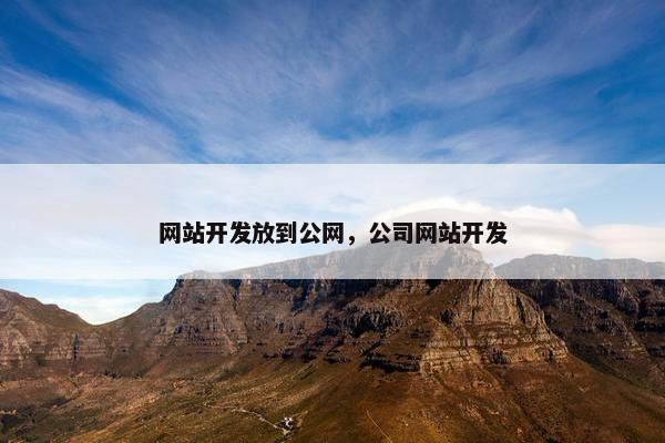 网站开发放到公网，公司网站开发