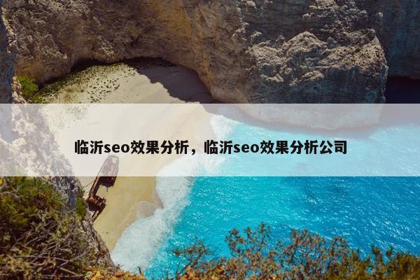 临沂seo效果分析，临沂seo效果分析公司