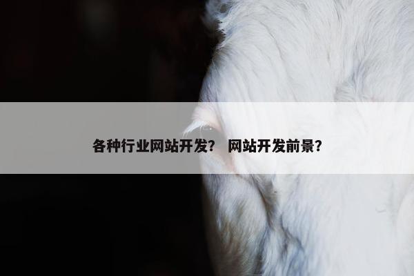 各种行业网站开发？ 网站开发前景？
