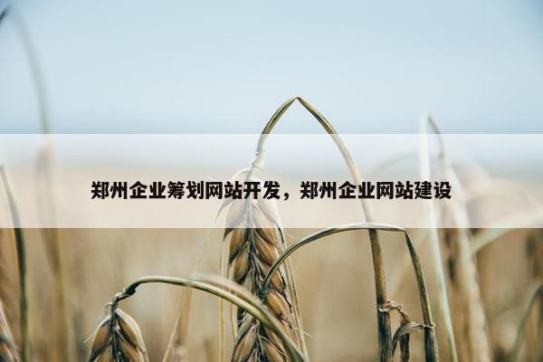 郑州企业筹划网站开发，郑州企业网站建设