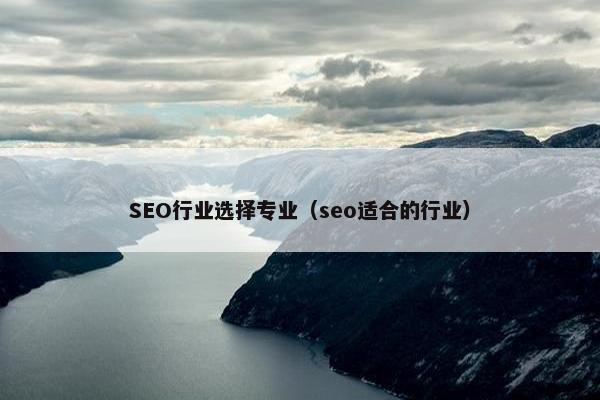 SEO行业选择专业（seo适合的行业）