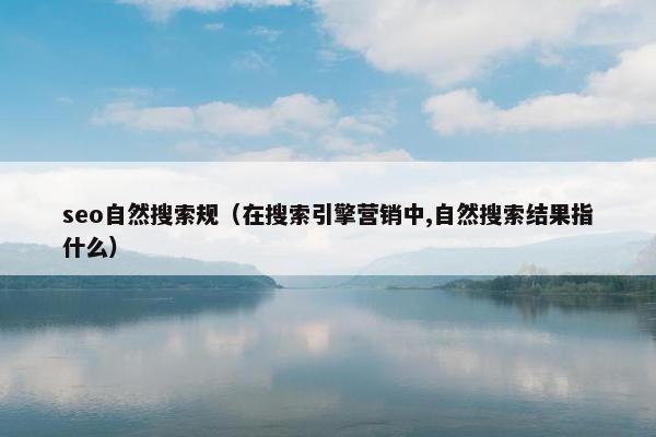 seo自然搜索规（在搜索引擎营销中,自然搜索结果指什么）