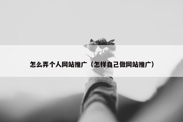 怎么弄个人网站推广（怎样自己做网站推广）