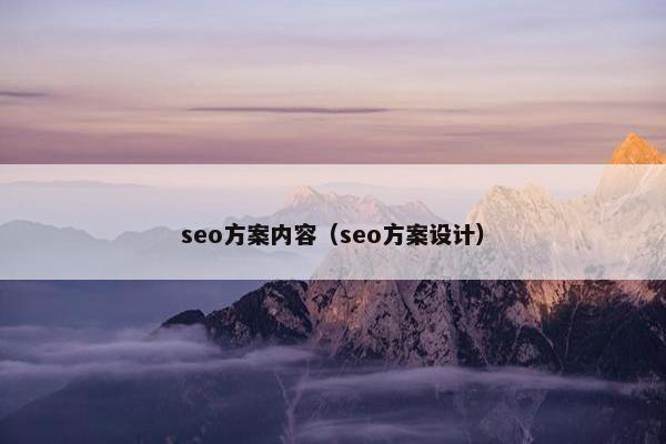 seo方案内容（seo方案设计）