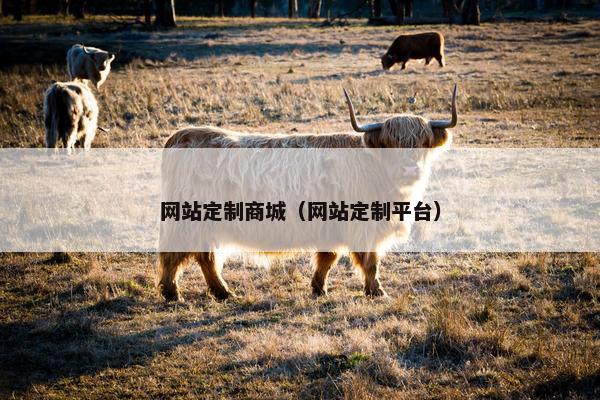 网站定制商城（网站定制平台）