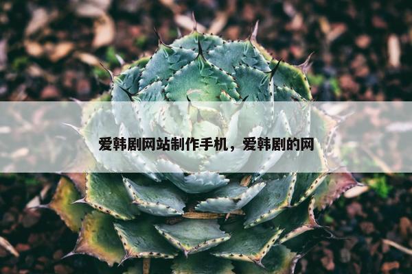 爱韩剧网站制作手机，爱韩剧的网