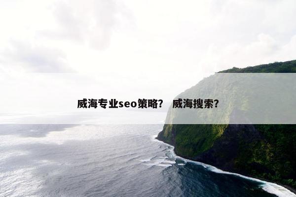 威海专业seo策略？ 威海搜索？