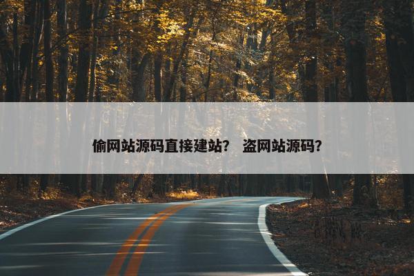 偷网站源码直接建站？ 盗网站源码？