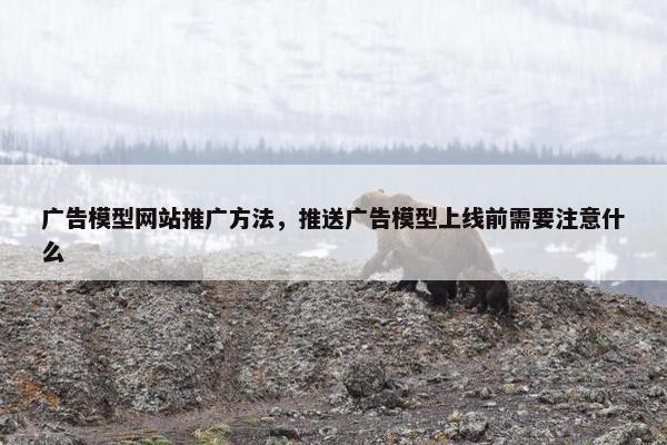 广告模型网站推广方法，推送广告模型上线前需要注意什么