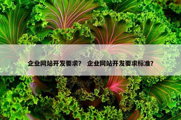 企业网站开发要求？ 企业网站开发要求标准？