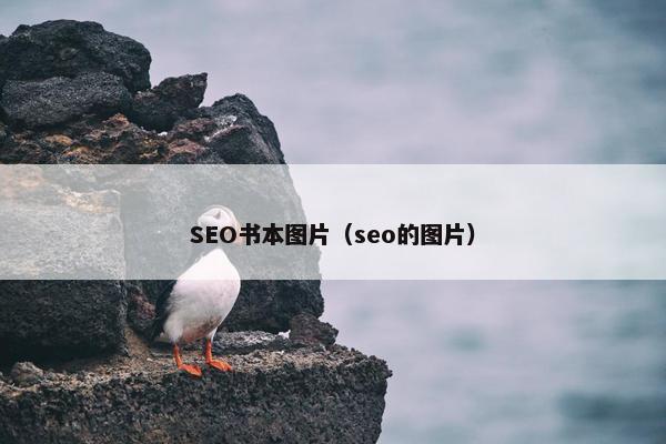 SEO书本图片（seo的图片）