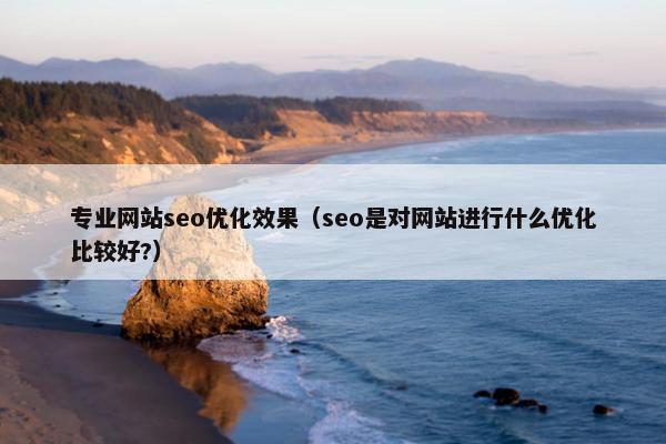 专业网站seo优化效果（seo是对网站进行什么优化比较好?）