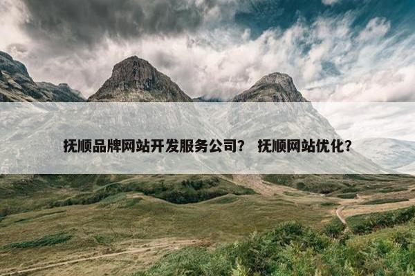 抚顺品牌网站开发服务公司？ 抚顺网站优化？