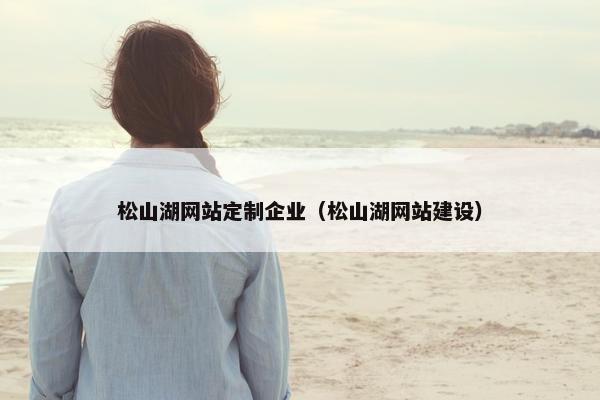 松山湖网站定制企业（松山湖网站建设）
