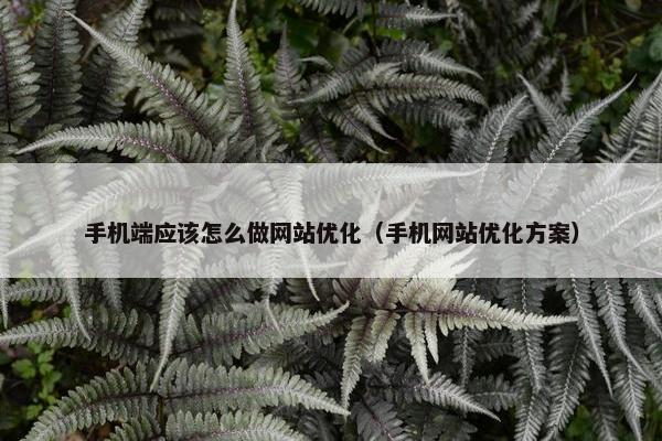 手机端应该怎么做网站优化（手机网站优化方案）