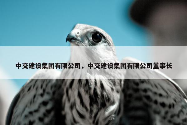 中交建设集团有限公司，中交建设集团有限公司董事长