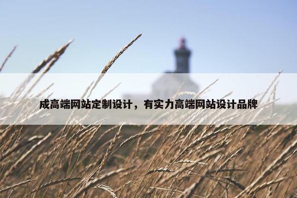 成高端网站定制设计，有实力高端网站设计品牌