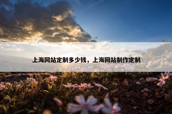 上海网站定制多少钱，上海网站制作定制