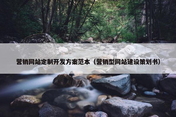 营销网站定制开发方案范本（营销型网站建设策划书）