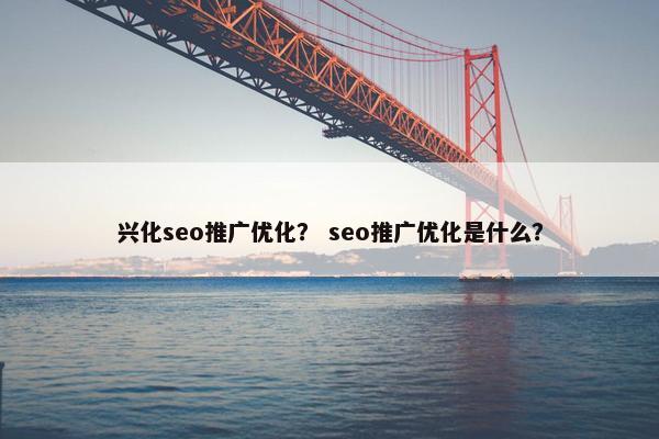 兴化seo推广优化？ seo推广优化是什么？